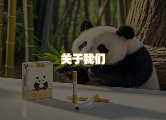 关于我们